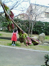 c970b11b.JPG