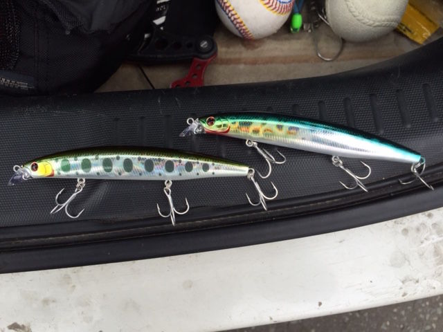 海サクラ用ルアー購入 ヒラメ100枚への挑戦