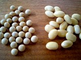 大豆を水で戻す前と後の大きさ