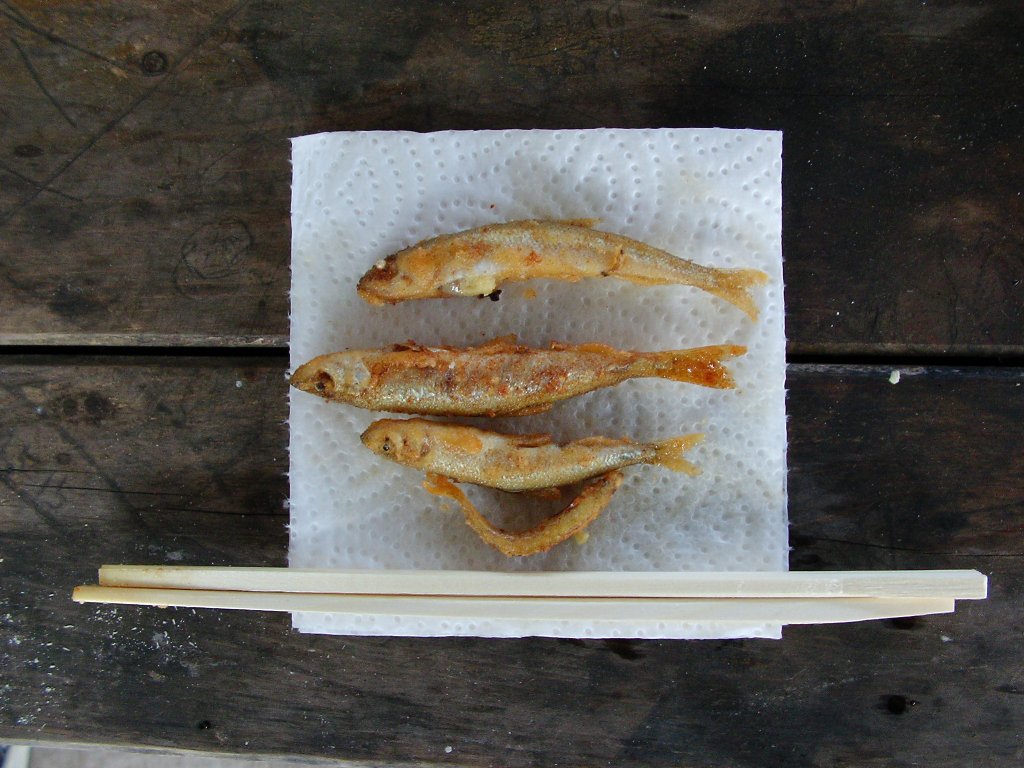 イメージ 4