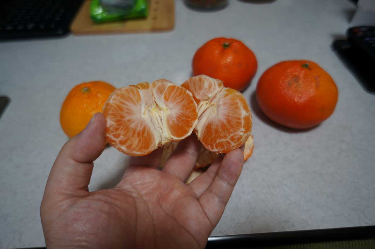 イメージ 7