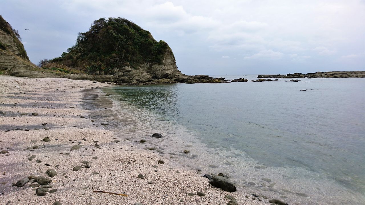 サメの卵鞘 人魚の財布 波と風の音を聴きながら サメの卵鞘 人魚の財布 波と風の音を聴きながら