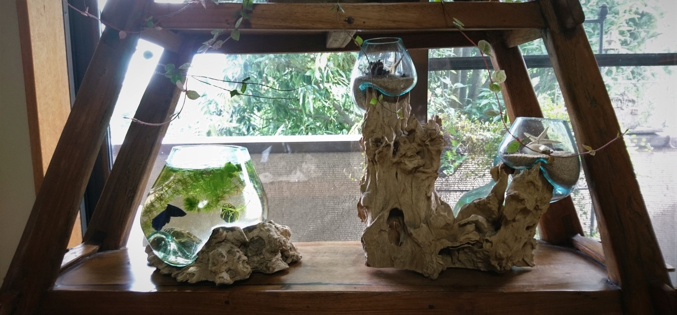 流木とガラス容器 追加 波と風の音を聴きながら