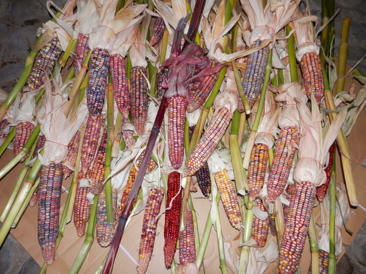 グラスジェムコーン レインボーコーン 波と風の音を聴きながら