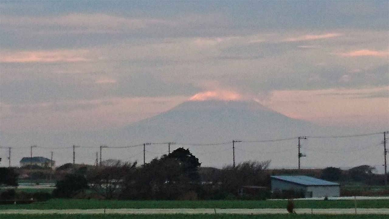 ネコザメの卵鞘 見つけ 波と風の音を聴きながら