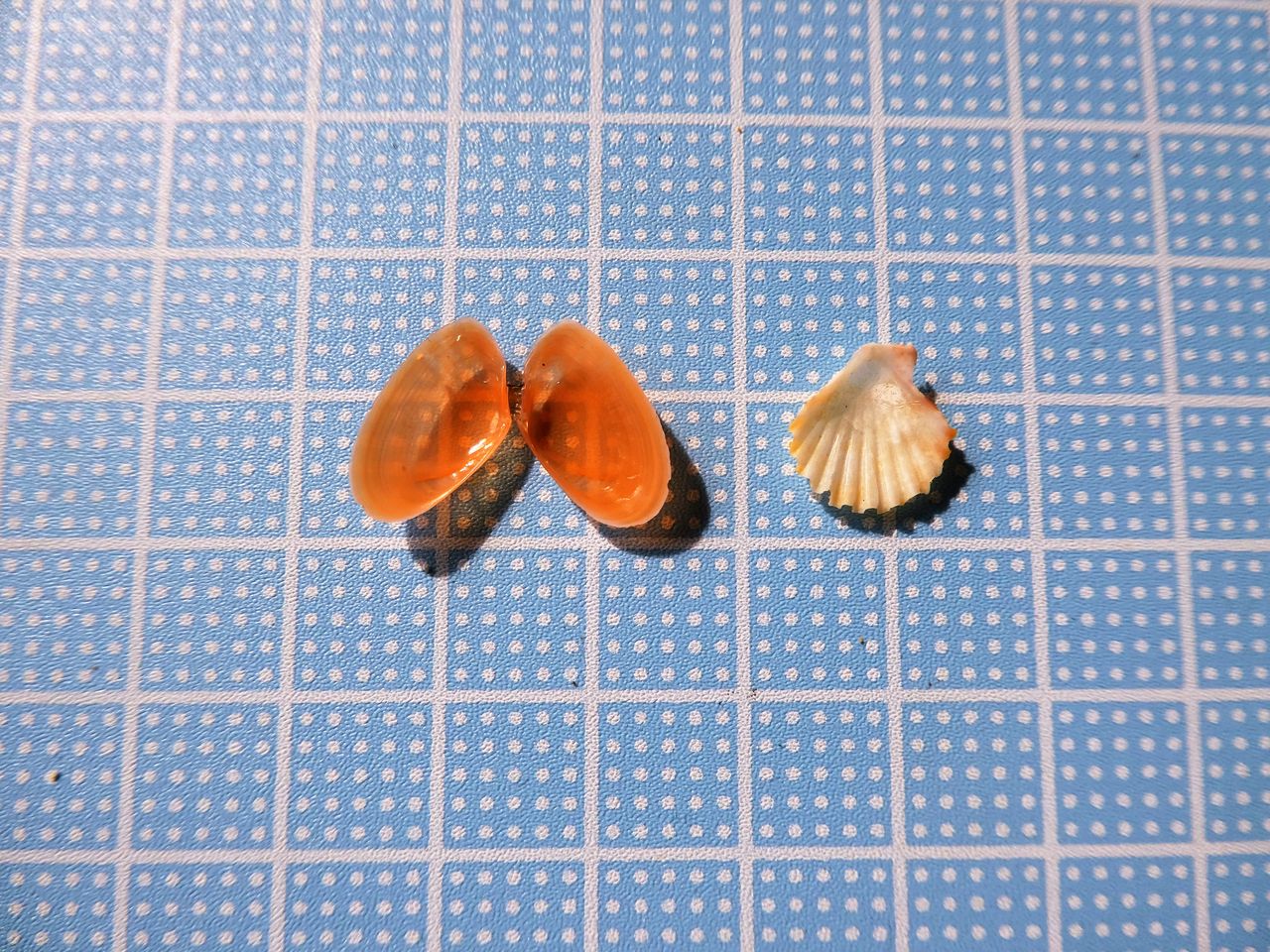 波と風の音を聴きながら 石垣島bc 波と風の音を聴きながら 石垣島bc