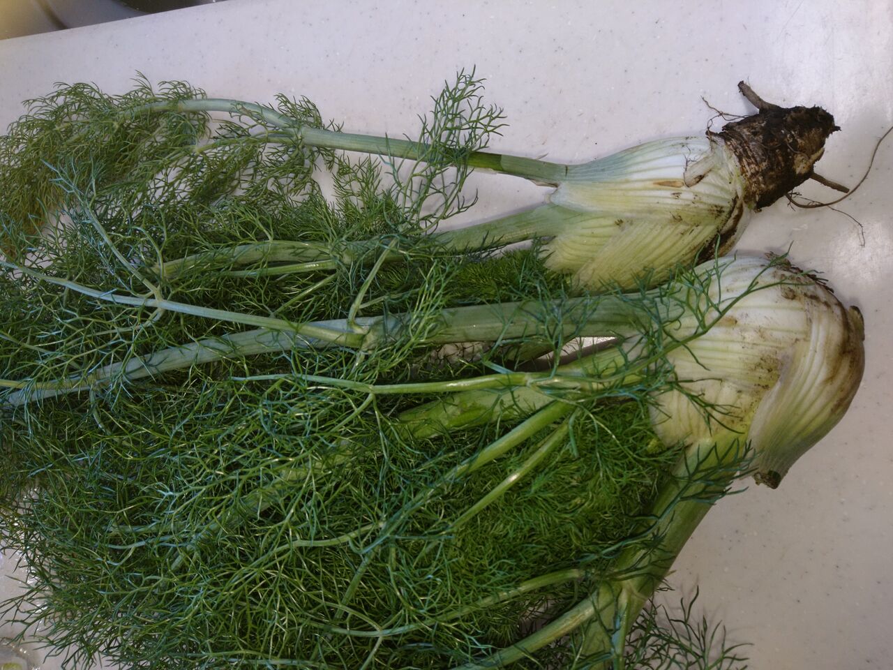 イタリア野菜 ナポリ 波と風の音を聴きながら