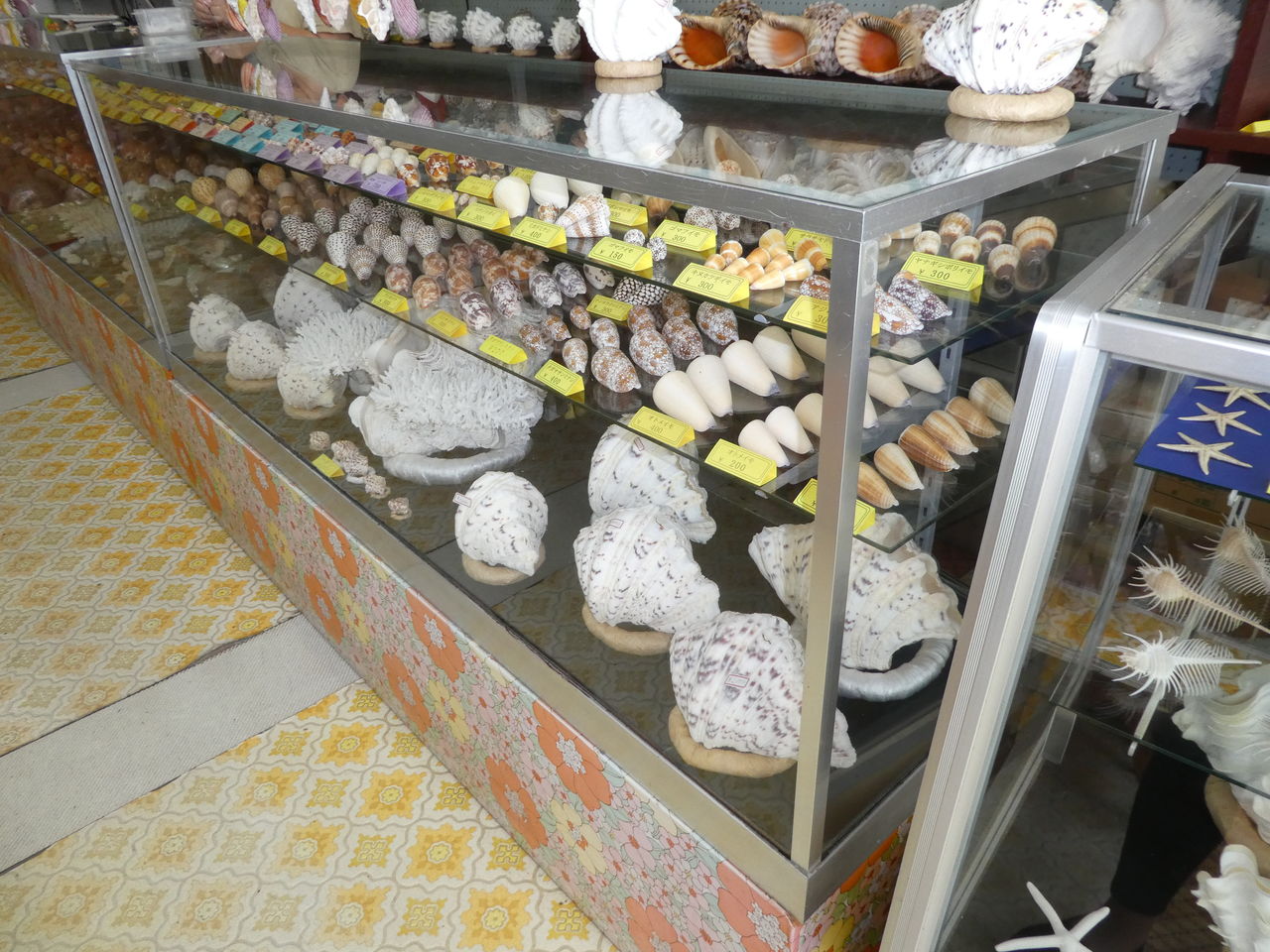 石垣島の貝殻屋さん 波と風の音を聴きながら 石垣島の貝殻屋さん 波と風の音を聴きながら