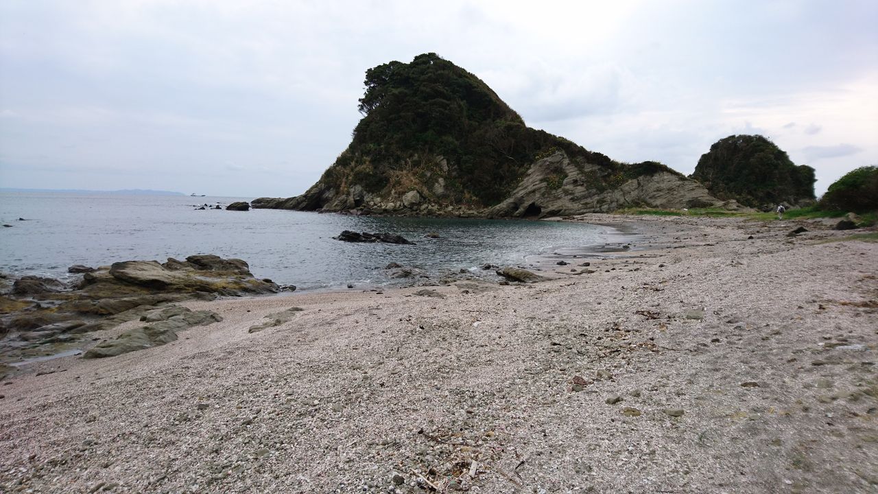サメの卵鞘 人魚の財布 波と風の音を聴きながら サメの卵鞘 人魚の財布 波と風の音を聴きながら