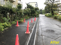 台風24号の傷跡