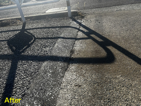 ��ƻ���ʺ����