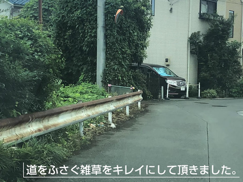 道をふさぐ雑草清掃
