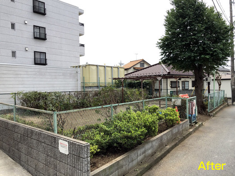 児童公園の剪定
