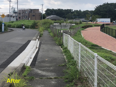 清瀬橋付近の除草