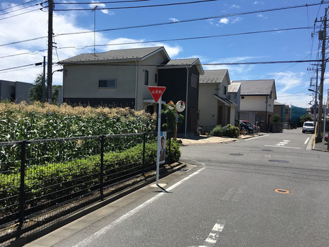 カーブミラー設置