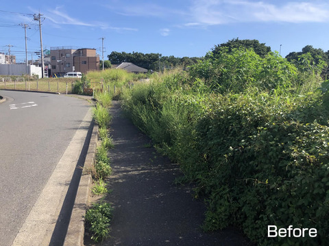 清瀬橋付近の除草