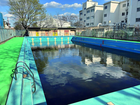 »È¤ï¤Ê¤¯¤Ê¤Ã¤¿³Ø¹»¥×¡¼¥ë