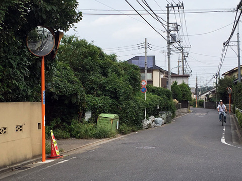 野塩一丁目カーブミラー