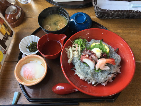 会派視察_洲本市
