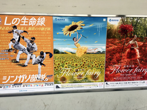 西武鉄道のひまわり企画