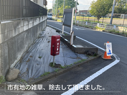 市有地の雑草、除去して頂きました。