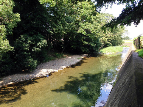 未開の薬科大北側の柳瀬川