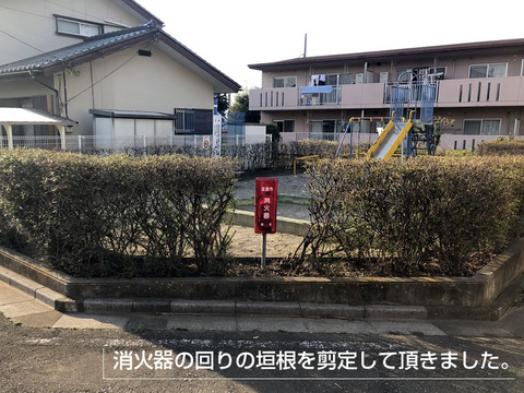 消火器の回りの垣根を剪定