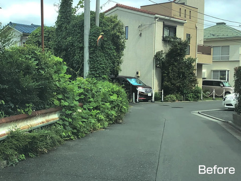 道をふさぐ雑草清掃
