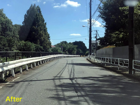 柳瀬川通りの除草