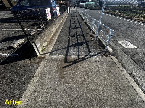 ��ƻ���ʺ����