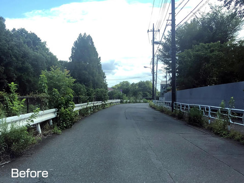 柳瀬川通りの除草