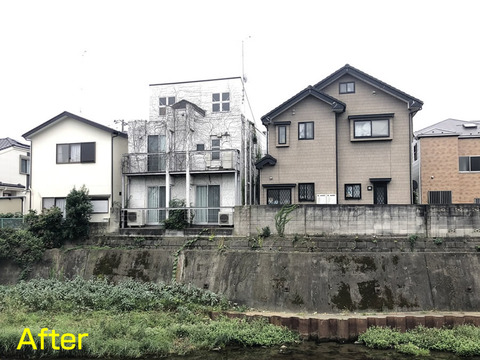 空き家の樹木管理