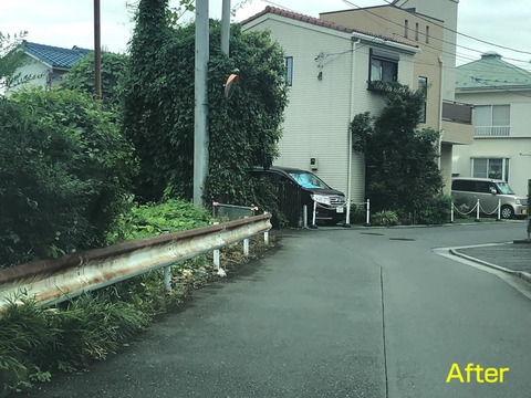 道をふさぐ雑草清掃