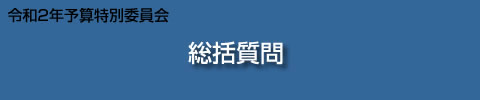 令和2年予算特別委員会