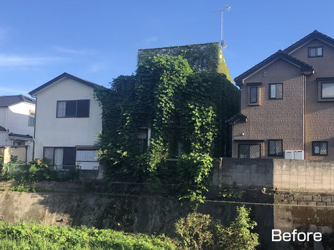 空き家の蔦、除去