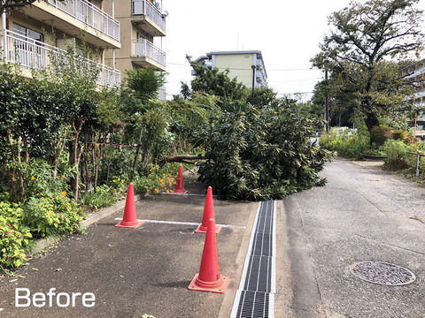 台風24号の傷跡