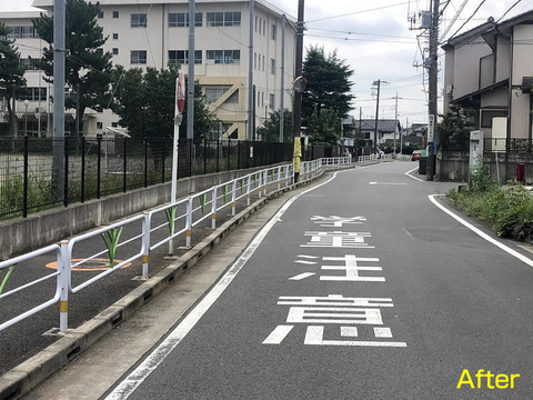 清中前の通りの除草