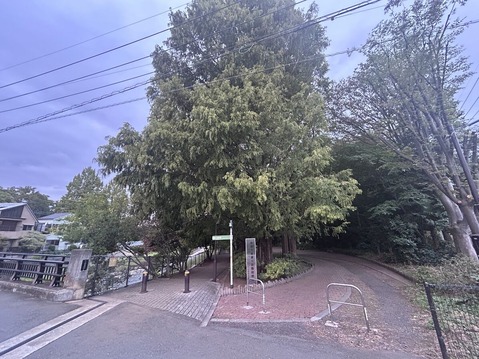 柳瀬川回廊起点