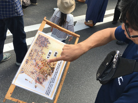 蜂みつ事業について説明する田村総務課長