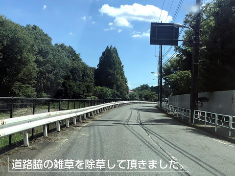 柳瀬川通りの除草