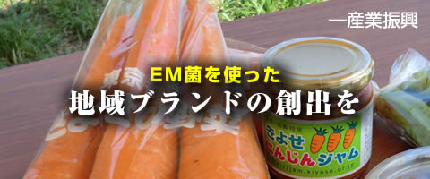 EM¶Ý¤ò»È¤Ã¤¿Ãϰè¥Ö¥é¥ó¥É¤ò