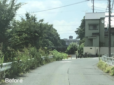 柳瀬川通りの除草