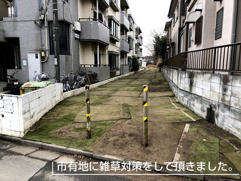 雑草対策