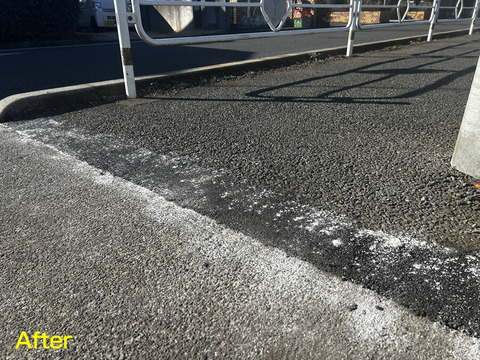 ��ƻ���ʺ����