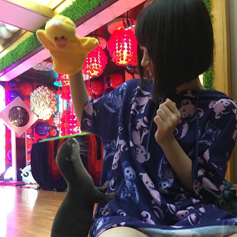 小島夕佳