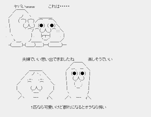 タコタ屋aa