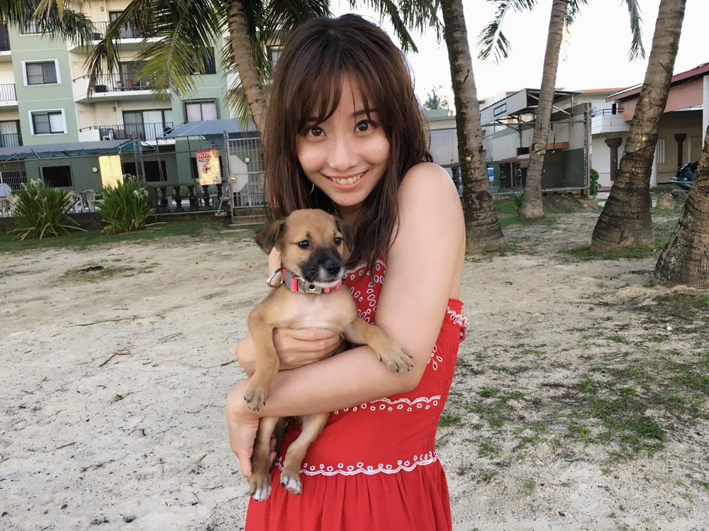 柴田阿弥