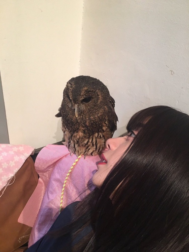 池田エライザ