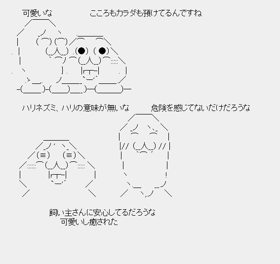 タコタ屋aa