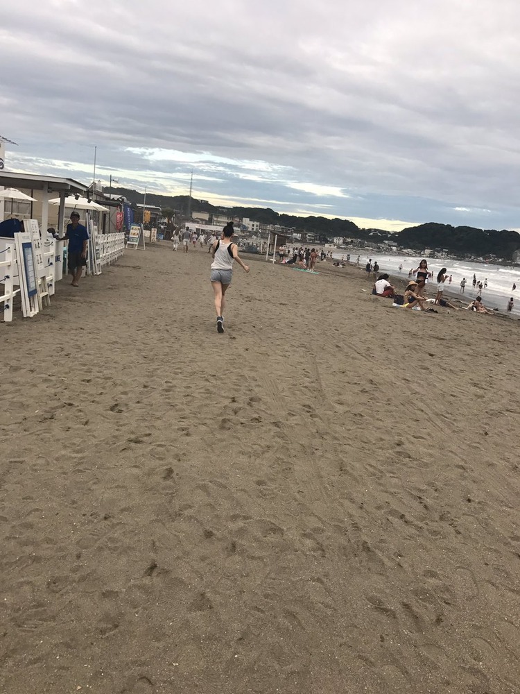 帆春